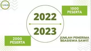 Saat Lulusan Beasiswa Sawit Kembali Ke Kebun..