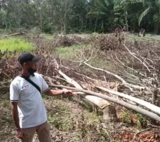 'Frustasi' Dengan Karet, Pak Tani Ini Mau Beralih Tanam Sawit Terbentur Modal