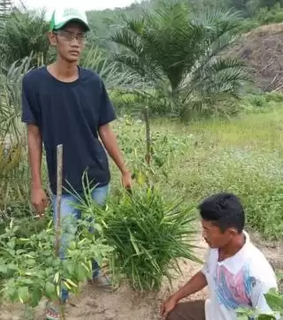 Petani Sawit di Bengkulu, Kok Bisa Gandrungi Tanaman Jahe