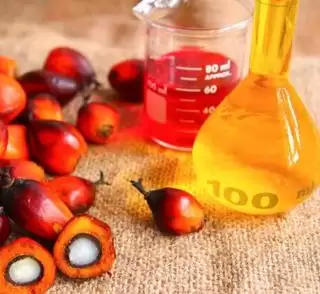 Petani Sawit Bengkulu Tagih Janji Pempus Soal Dirikan Bursa CPO