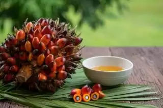 Evolusi Mutakhir Industri Sawit Indonesia, Harga Minyak Sawit Lebih Murah Ternyata