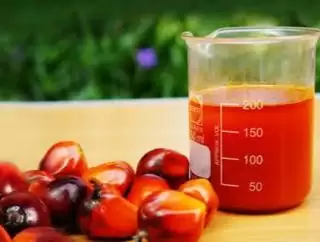 Pungutan Ekspor Tembus USD 35,46, Harga Referensi CPO Naik Periode Ini