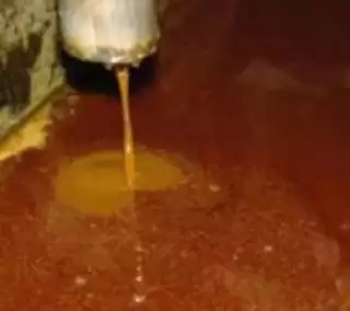 Harga Referensi CPO Turun Dekati Ambang Batas Paruh Agustus 2023, Ini Penyebabnya