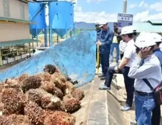 Pabrik CPO Perintis Beroperasi di Pohuwato
