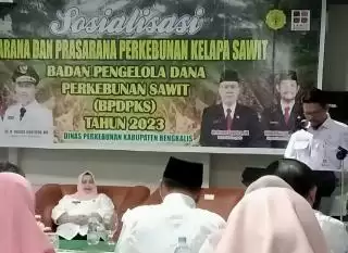 Dorong Percepatan Pengembangan Sawit, Kasmarni: Butuh Perhatian Khusus