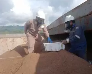 Palm Kernell Expeller Sawit Sulbar Berlayar ke Tiongkok, Ekspor Pertama 5.500 Ton