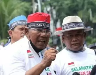 Animo Petani Tanam Sawit Tinggi Butuh Bantuan Benih dari Pemerintah