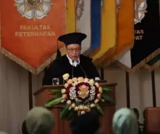 Guru Besar UGM Dorong Integrasi Peternakan Sapi Perkebunan Sawit