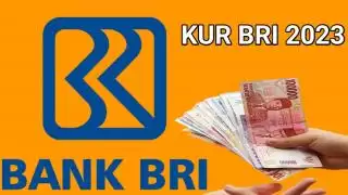 Bunga Ringan, BRI Seru Petani Sawit di Bengkulu Ikut Program KUR