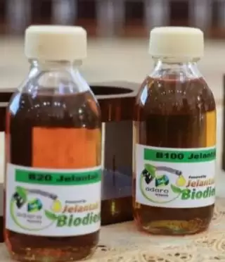 Peneliti BRIN Kini Jelajahi Adsorpsi Kurangi Kadar Air Biodiesel
