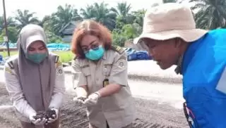 Lolos Karantina, Total 9.500 Ton Cangkas Sawit Terbang ke Thailand