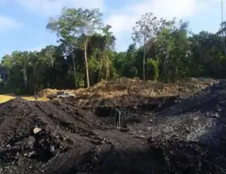Siap-siap! Kebun Sawit dan Tambang Bakal Disapu Bersih Dari IKN