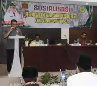 Kebun Sawit Sudah Tua di Agam, Ayo Pak Tani Lakukan Replanting