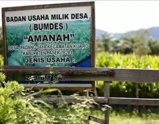 Siap-siap, 21 BUMDes di Paser Bakal Dapat Modal Bisa Bangun Usaha Sawit
