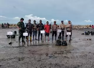 Tumbuhan Mangrove Mampu Atasi Abrasi