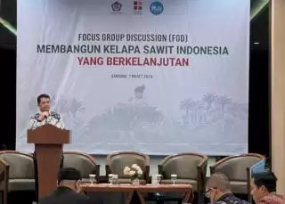 Sawit Masih Berkontribusi Signifikan Bagi Perekonomian Nusantara 2023