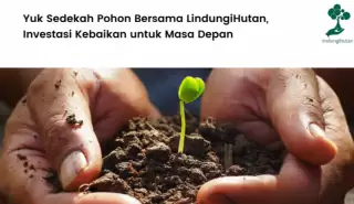 LindungiHutan Permudah Masyarakat Berpartisipasi di Program Sedekah Pohon