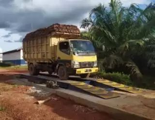 Di Bengkulu Pemilik Ram Sawit Wajib Urus Izin, di Daerah Anda Gimana!