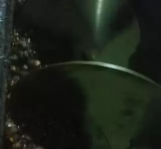 Withdraw Hentikan Kejatuhan Berulang Harga CPO Tender PT KPBN