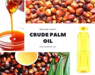 Pelaku Pasar Sumringah Harga CPO KPBN Mulai Membaik