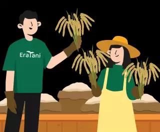 Eratani Sinergi BPJS Ketenagakerjaan Dukung Peningkatan Keamanan dan Kesejahteraan Petani