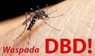 701 Kasus DBD Terjadi di Riau Selama 2024, Masyarakat Diminta Terapkan 3M