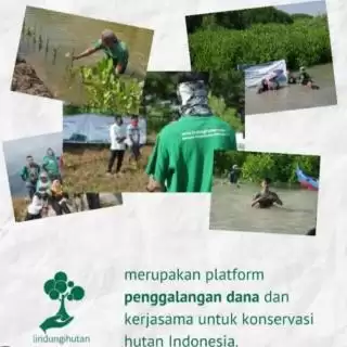 Ikuti Sesi Berbagai Cerita Menangkan Hadiah Ekslusif dari LindungiHutan!
