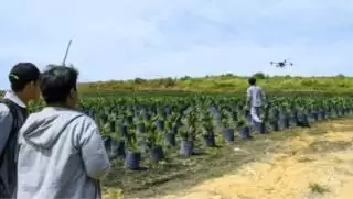 Halo Robotics Tingkatkan Efisiensi Pemupukan Kelapa Sawit dengan Drone Pertanian DJI Agras T40