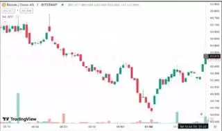 BTC Melesat Tembus $65.000 USD Didukung Elektabilitas Donald Trump