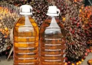 Sumringah, Harga CPO Hasil Tender PT KPBN Periode 5 Agustus 2024 Naik