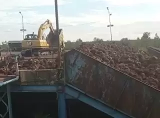 Harga CPO Hasil Tender PT KPBN Periode 9 Sepetember 2024 Rontok