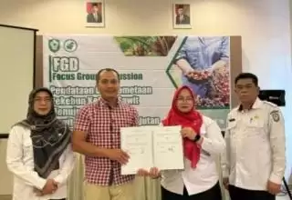 Gelar FGD, Pemkab Kotim Dorong Percepatan Pendataan Kebun Sawit Swadaya Berkelanjutan