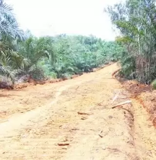 Pemkab Sekadau Buka Akses Jalan Warga Tiga Dusun Sentra Sawit di Desa Mondi Sumringah