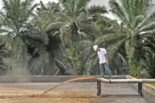 Bersama Swasta BRIN Kembangkan Demulsifier Penyerap Minyak Sawit Tersuspensi di POME