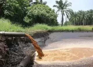 GAPKI Dorong Peningkatan Baku Mutu Limbah Sawit Untuk LA