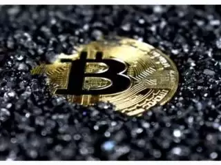 Bitcoin Dominasi di tahun 2024,  Akankah Berlanjut di 2025?