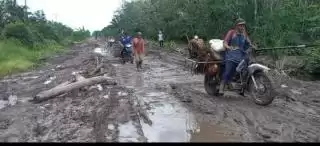 Ruas Jalan Bak Kubangan Bikin Harga Sawit di Siak Kecil Melorot