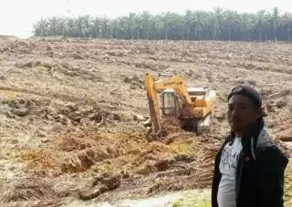 PSR dan Sarpras Stop Dulu! Petani Sawit Keberatan BPDPKS Diganti Jadi BPDP