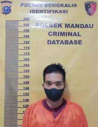 Ooo... Rupanya ART Pelaku Cabuli Anak Bawah Umur di Pematang Pudu