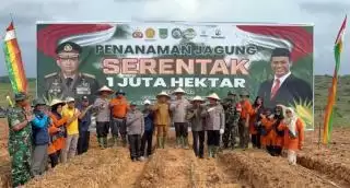 Di Wilkum Polres Rohul Tumpang Sari Jagung di Lahan Sawit Targetnya Seluas 70 Hektar