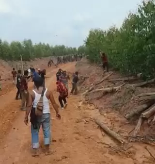 Konflik Lahan di Desa TTBT Inhu Memanas: PP, GRIB, PBB vs PT BBSI Bentrok Fisik