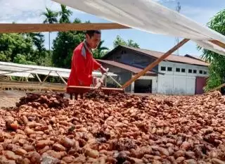 Tentang Regulasi Anti Deforestasi UE dan Kepatuhan Keberlanjutan Industri