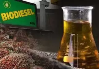Hakikat Biodiesel Bidang Kesehatan Lingkungan Global