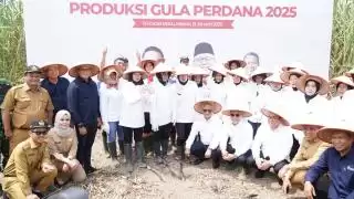 Menko Pangan dan Mendag Tinjau Panen Tebu Perdana, Pj. Bupati Langkat Tegaskan Dukungan Swasembada Gula