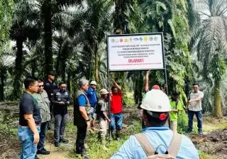 Satgas PKH Pastikan Tidak Ada Tebang Pilih Penindakan Kawasan Hutan