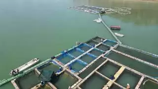 Keramba Apung Ikan Modern: Rahasia Sukses Panen Melimpah!