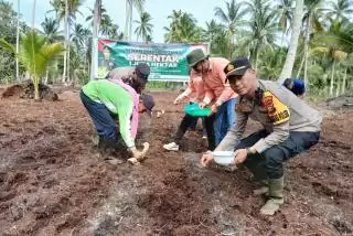 Dukung Ketahanan Pangan, Kapolsek Rangsang Ikuti Tanam Bibit Jagung di Desa Dwi Tunggal