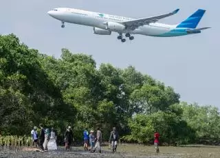 Pesisir Terancam, Mangrove Jawab Data Kerusakan dan Aksi Perbaikan 2025