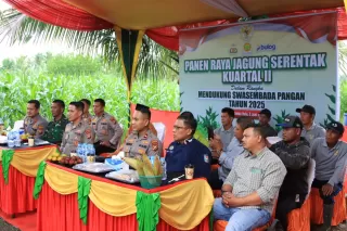 Panen Raya Jagung Serentak, Polres Inhil Tunjukkan Komitmen Swasembada Pangan