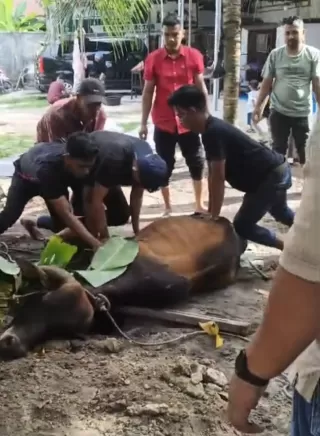 Melalui Ibadah Kurban, Bahkaturi Duri Berbagi Berkah di Hari Raya Idul Adha 1446 H